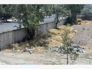 Terreno en Renta en San Martin de las Flores de Arriba San Pedro Tlaquepaque