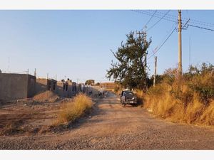 Terreno en Venta en Zapotlanejo Centro Zapotlanejo