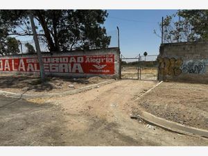 Terreno en Renta en San Martin de las Flores de Arriba San Pedro Tlaquepaque