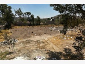 Terreno en Renta en San Martin de las Flores de Arriba San Pedro Tlaquepaque