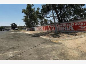 Terreno en Renta en San Martin de las Flores de Arriba San Pedro Tlaquepaque