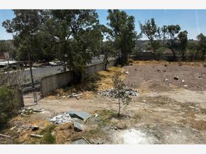 Terreno en Renta en San Martin de las Flores de Arriba San Pedro Tlaquepaque