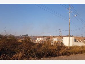 Terreno en Venta en Zapotlanejo Centro Zapotlanejo