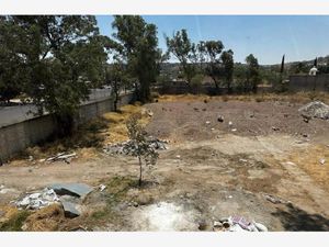 Terreno en Renta en San Martin de las Flores de Arriba San Pedro Tlaquepaque