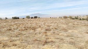 Se venden 6 hectáreas de Terreno en Santiago Tianguistenco Edo de México
