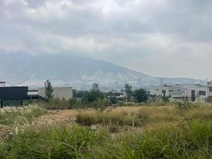 Cantanas terreno descendente con vista